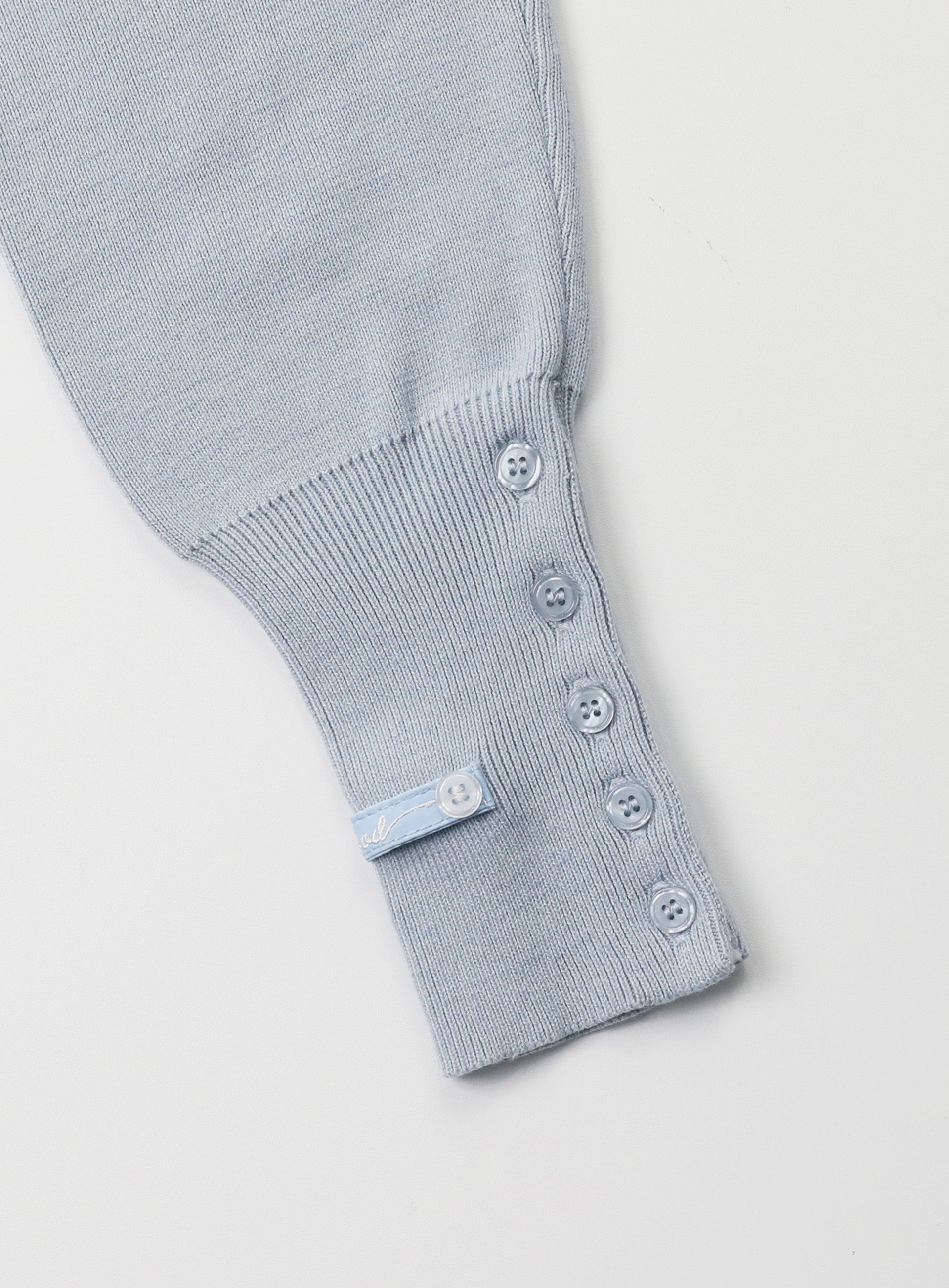 Badblood  The Pure Button-Up Hooded Cardigan - Light Blue