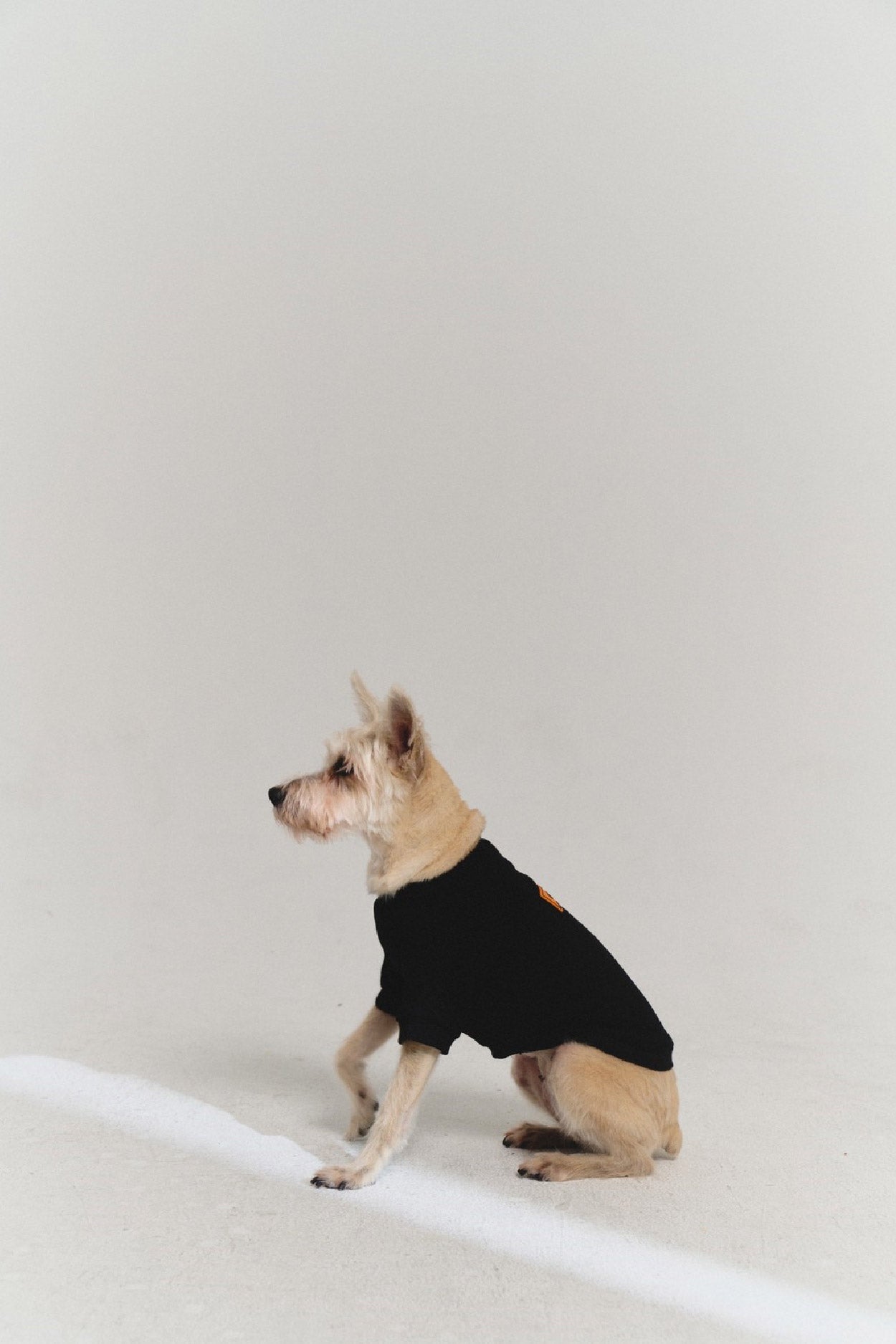 YUYU Active Gallery Dog Clothes